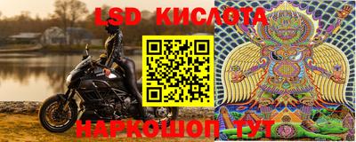 шишки Краснодар