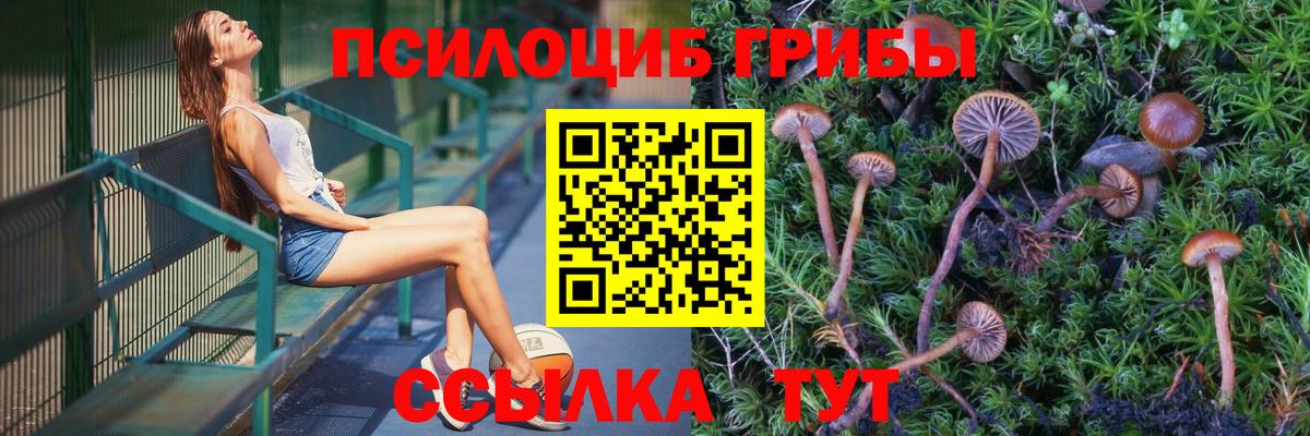 Псилоцибиновые грибы мухоморы Екатеринбург
