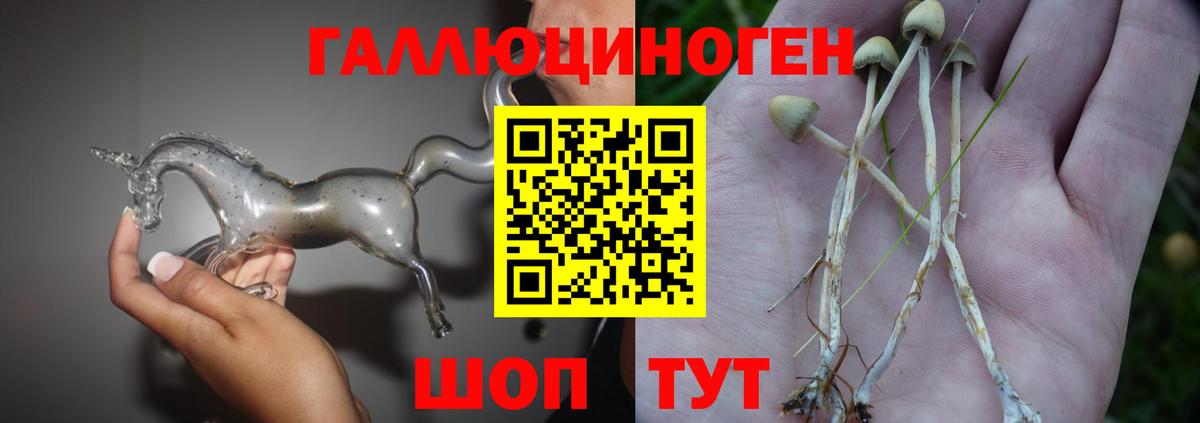Псилоцибиновые грибы мицелий  Вход с VPN  Екатеринбург 